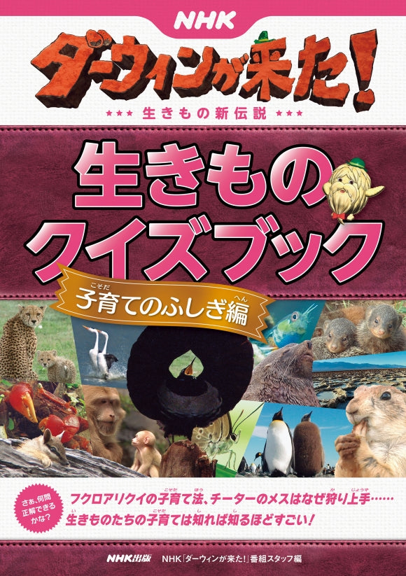 NHKダーウィンが来た! 生きものクイズブック(全5巻) ⑤子育てのふしぎ編