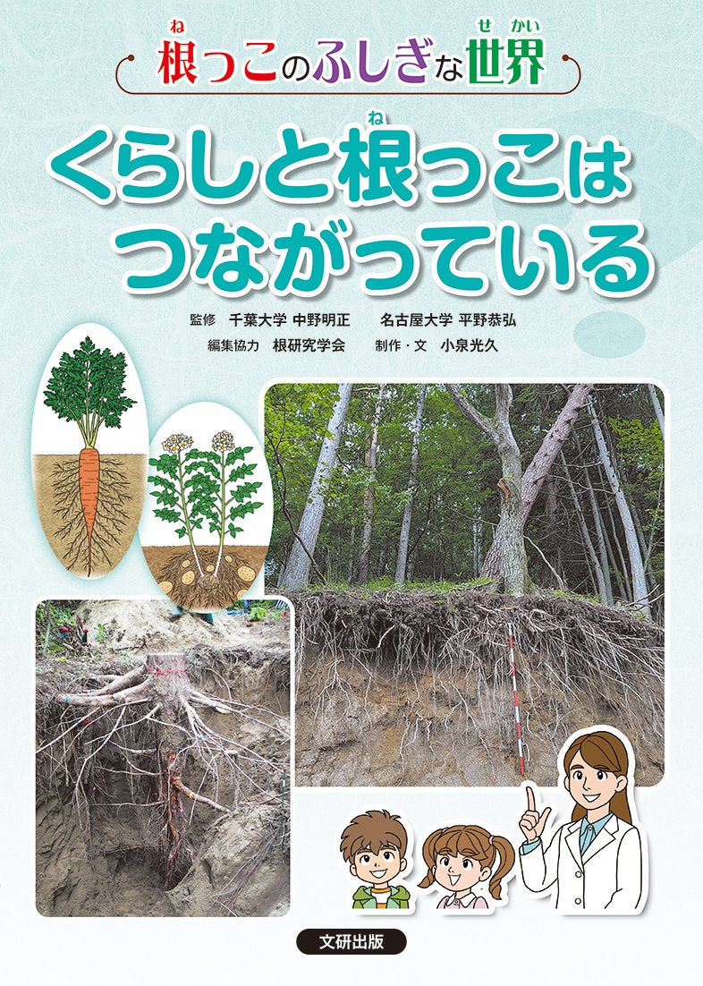 ③くらしと根っこはつながっている?