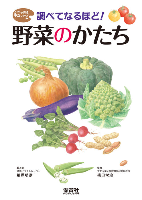 ③調べてなるほど！ 野菜のかたち