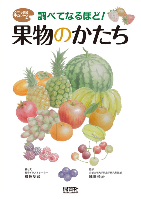②調べてなるほど！ 果物のかたち