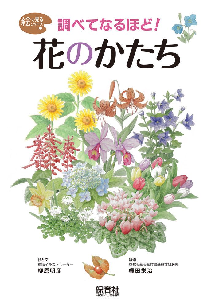 ①調べてなるほど！ 花のかたち