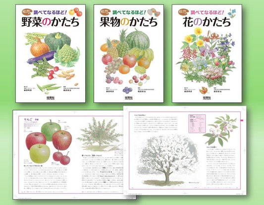 絵で見るシリーズ