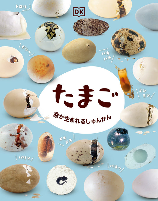 たまご  命が生まれるしゅんかん