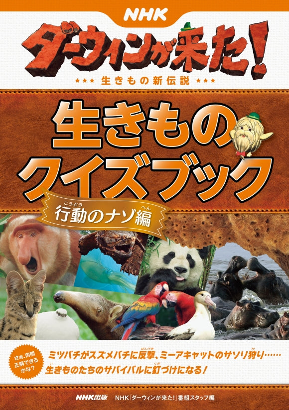 ＮＨＫダーウィンが来た！　生きものクイズブック（全5巻）　③行動のナゾ編