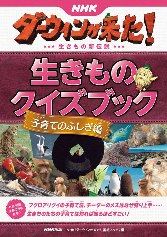 ＮＨＫダーウィンが来た！　生きものクイズブック（全5巻）　⑤子育てのふしぎ編