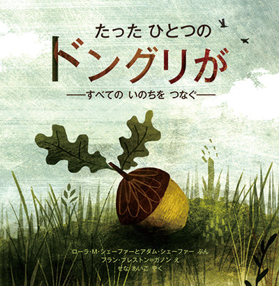 ④たったひとつのドングリが