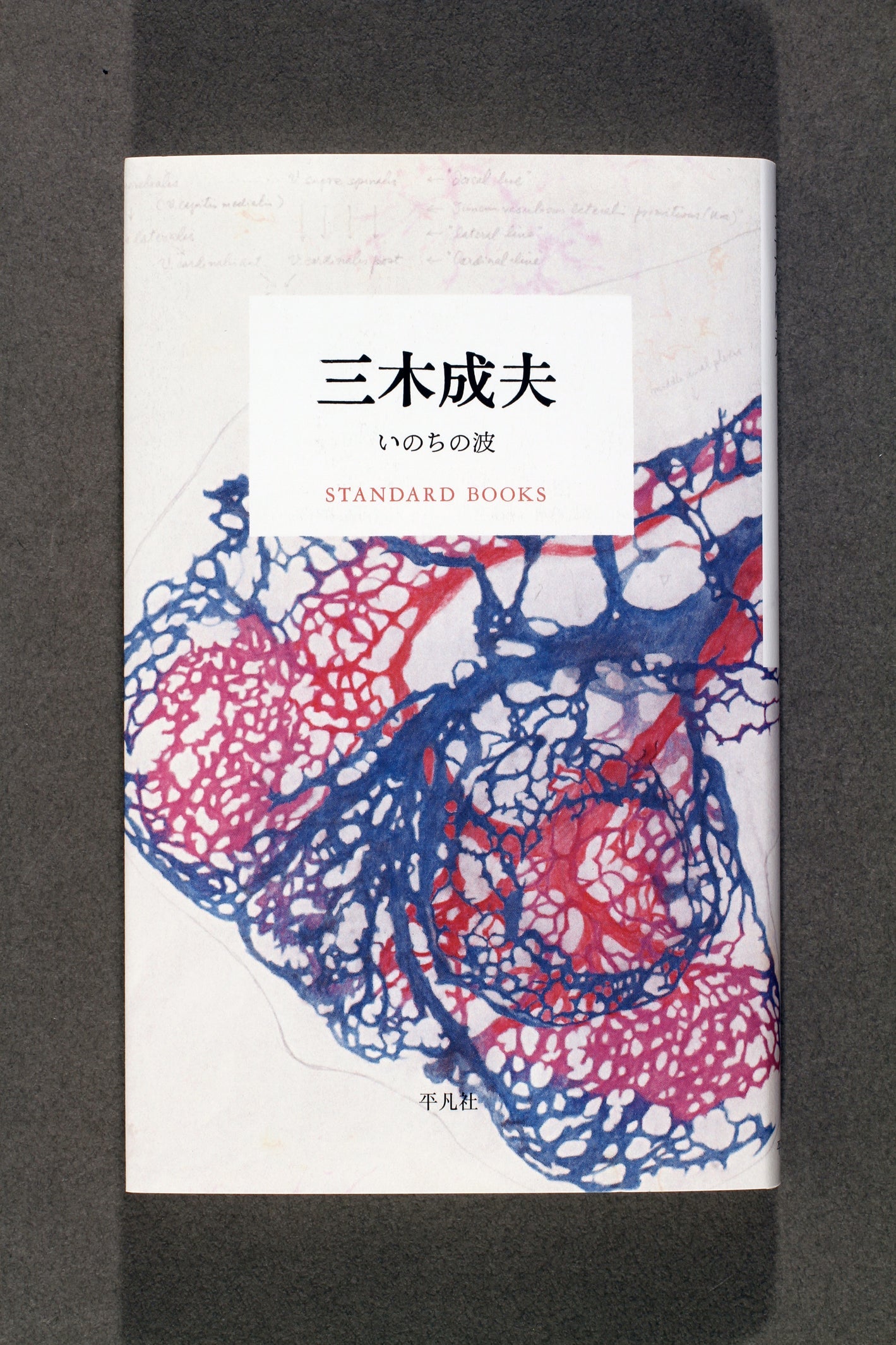 ⑲三木成夫　いのちの波